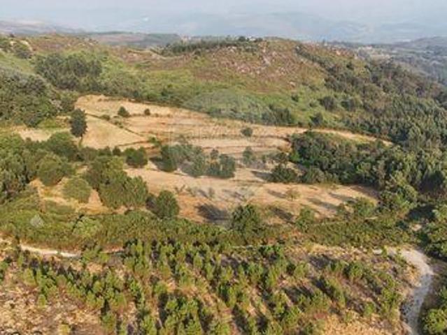 Terreno venda em Cabeceiras De Basto, Braga
