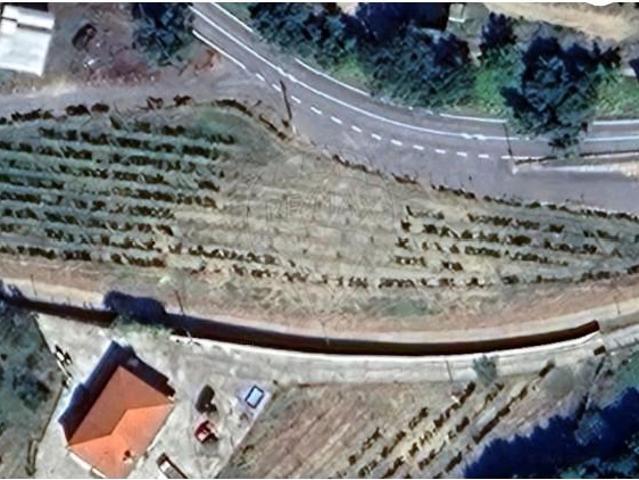 Terreno venda em Leiradas, Cabeceiras De Basto