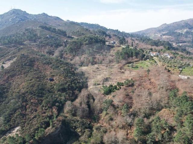 Terreno venda em Fojos, Cabeceiras De Basto