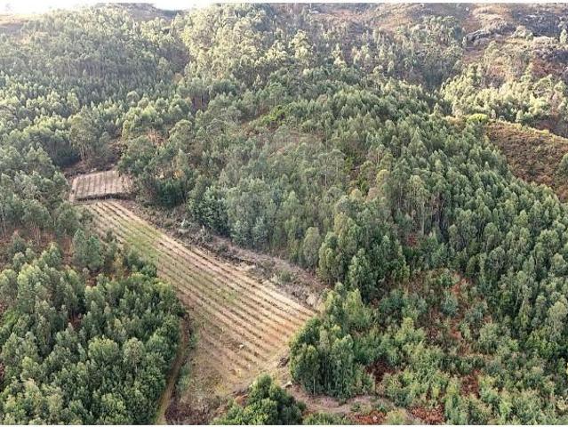 Terreno venda em Cabeceiras De Basto, Braga