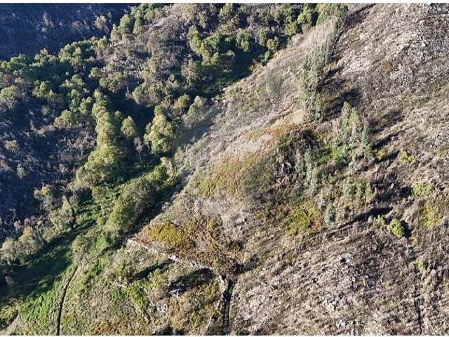 Terreno venda em Cabeceiras De Basto, Braga