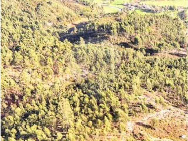 Terreno venda em Cabeceiras De Basto, Braga