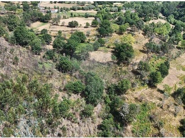 Terreno venda em Cabeceiras De Basto, Braga