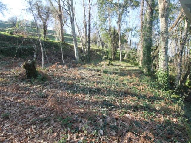 Terreno venda em Cabeceiras De Basto, Braga