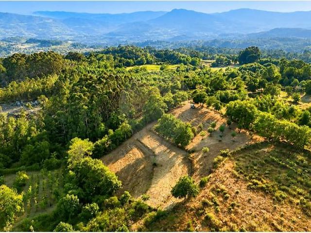 Terreno venda em Rio Douro, Cabeceiras de Basto