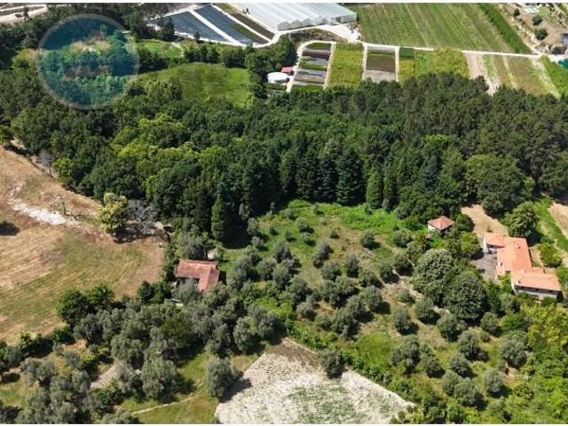 Terreno venda em Cabeceiras De Basto, Braga