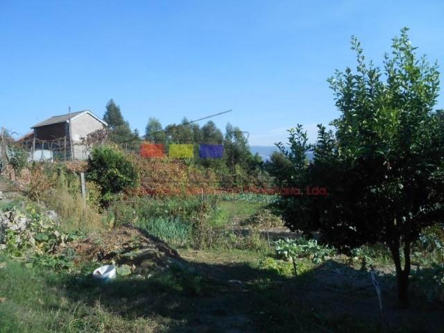 Terreno venda em Cabeceiras De Basto, Braga