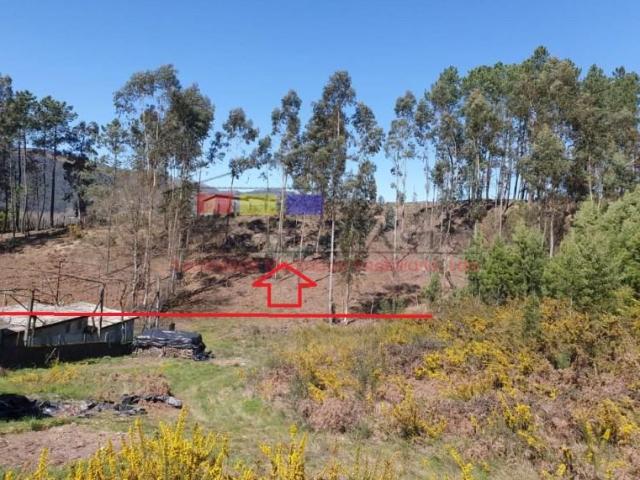Terreno venda em Cabeceiras De Basto, Braga