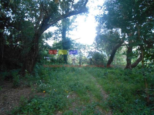 Terreno venda em Cabeceiras De Basto, Braga