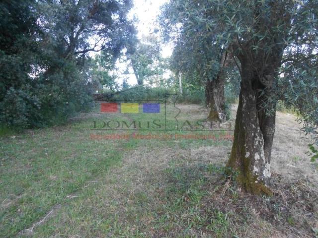 Terreno venda em Cabeceiras De Basto, Braga