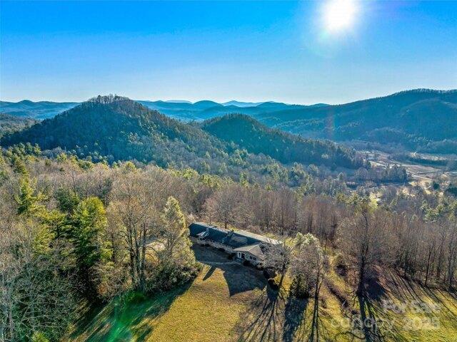 House for sale in Zirconia, North Carolina