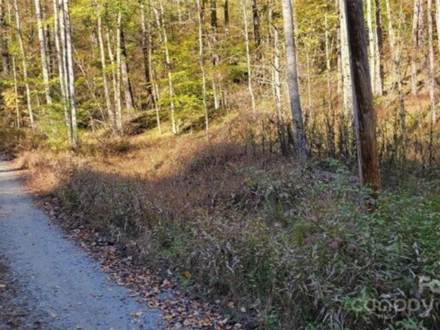 Land for sale in Yancey, North Carolina