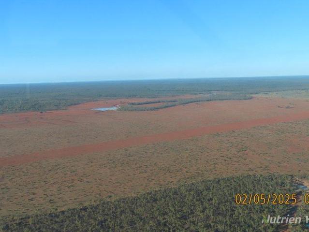 Cottage for sale in Cobar, New South Wales