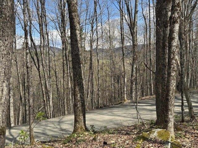 Land for sale in Cabot, Vermont