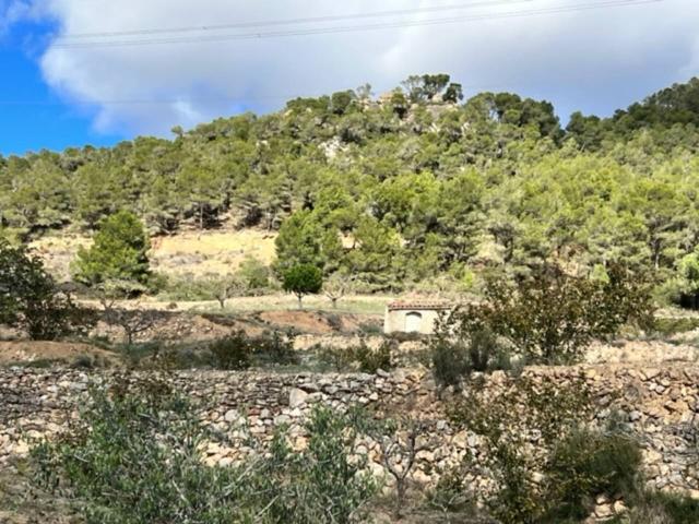 Terreno en venta en Alt Camp, Catalunya