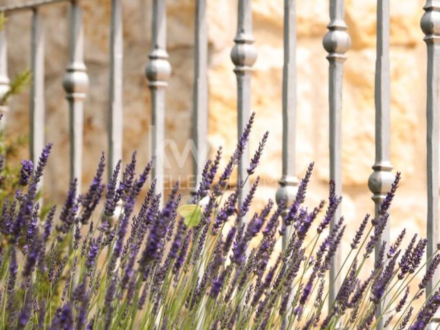 Maison vente à Grasse, Cabris