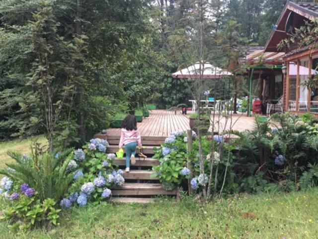 Caburgua/Caburgua, Pucón