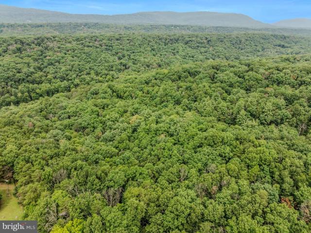 Land for sale in West Virginia