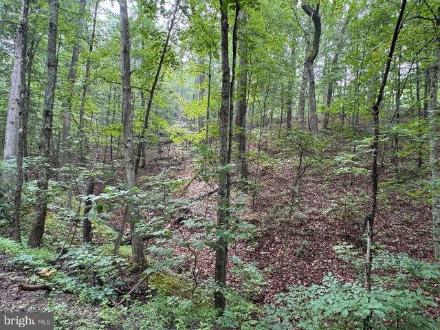 Land for sale in West Virginia