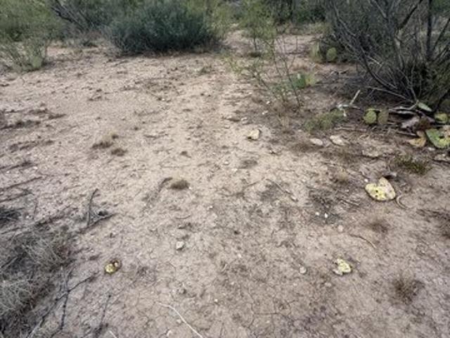 Farm for sale in Crockett, Texas