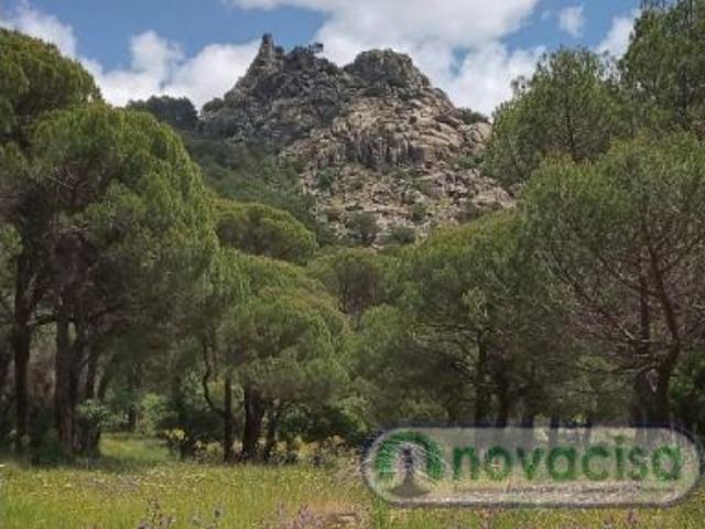 Local Comercial en venta en La Castellana y El Pilar, Cadalso De Los Vidrios