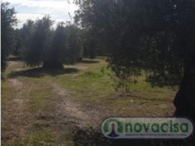Local Comercial en venta en La Castellana y El Pilar, Cadalso De Los Vidrios