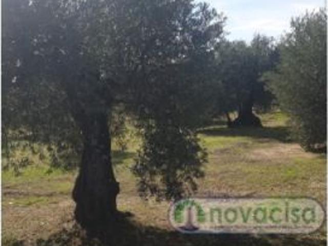 Local Comercial en venta en La Castellana y El Pilar, Cadalso De Los Vidrios