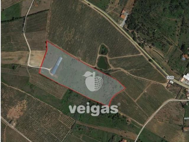 Terreno venda em Cadaval, Lisboa