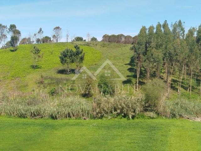 Terreno venda em Cadaval, Lisboa