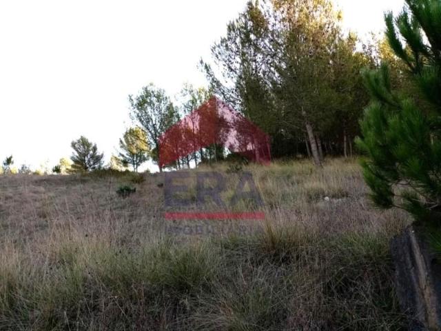 Terreno venda em Cadaval, Vilar