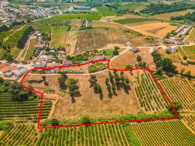 Terreno venda em Cadaval, Pêro Moniz
