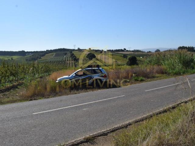 Terreno venda em Cadaval, Lisboa