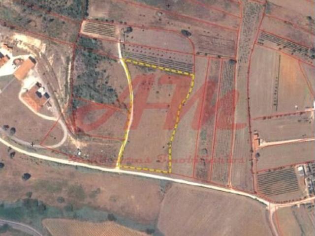 Terreno venda em Cadaval, Lisboa
