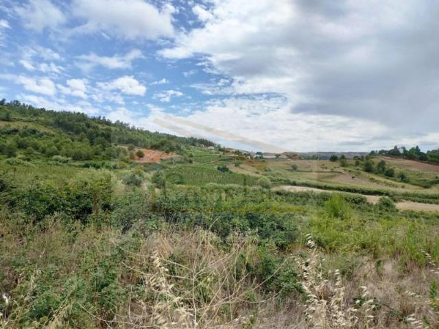 Terreno venda em Cadaval, Lisboa