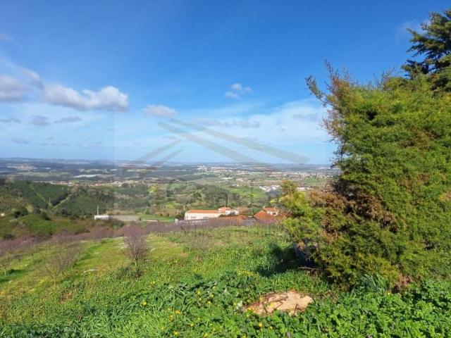 Terreno venda em Cadaval, Lisboa
