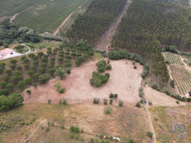 Terreno venda em Cadaval, Peral
