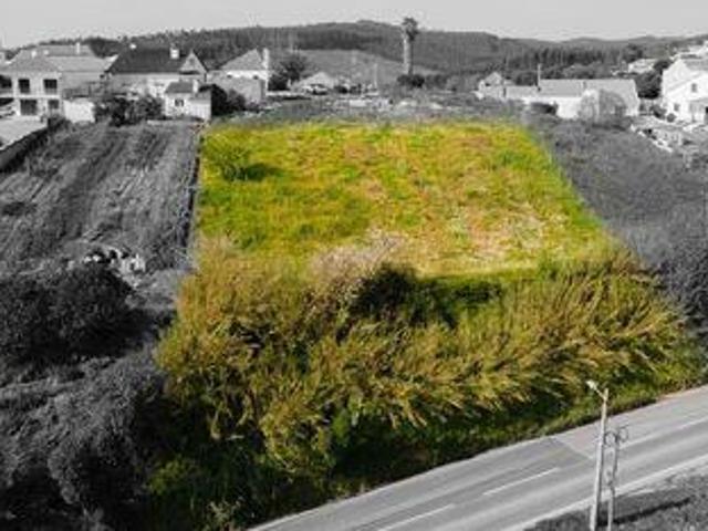 Terreno venda em Cadaval, Pêro Moniz