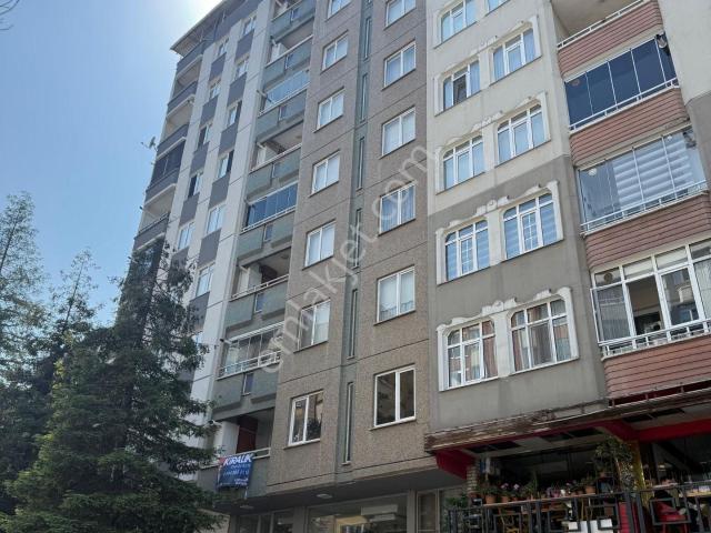 İlkadim, Samsun içerisinde kiralık mülk
