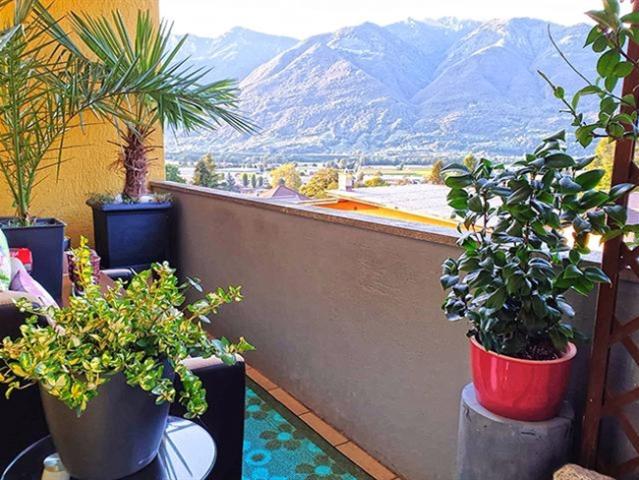 Wohnung kaufen in Cadenazzo, Tessin