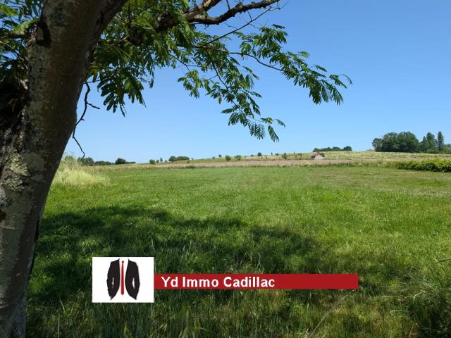 Maison vente à Langon, Cadillac