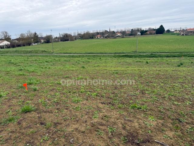 Terrain vente à Toulouse, Cadours