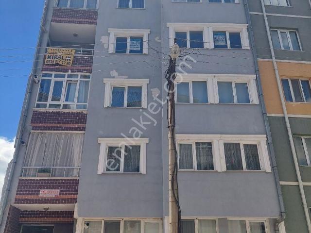 Sivas Merkez, Sivas içerisinde kiralık mülk