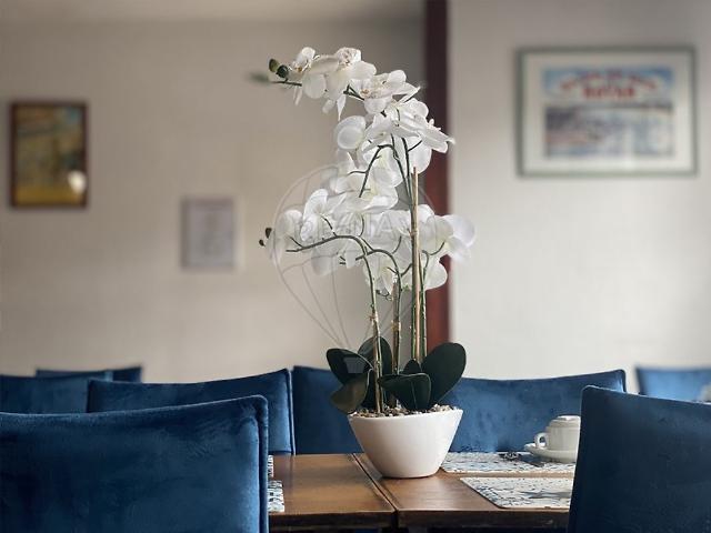 Local Commercial vente à France métropolitaine, Royan