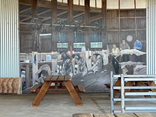 Retail for sale in Peak Hill, New South Wales