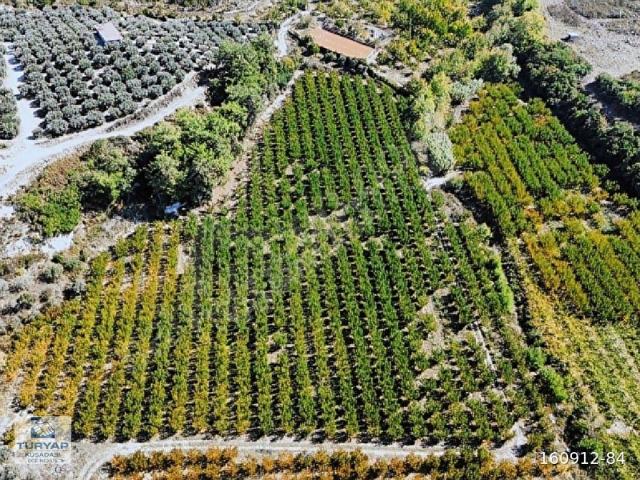 Caferli Mahallesi, Kuşadası içerisinde satılık Arsa