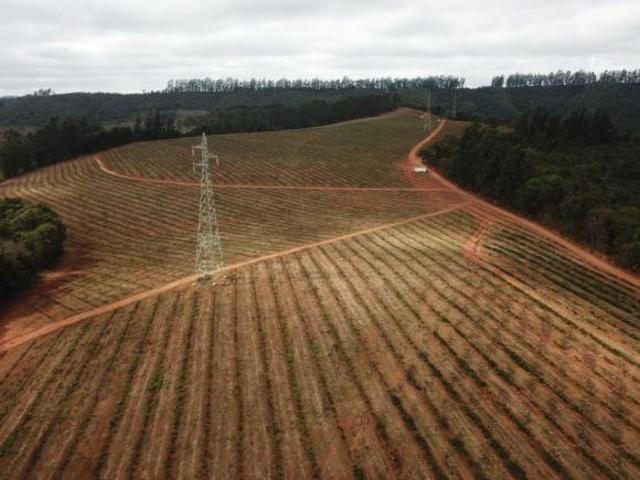 Sítio e chácara venda em Capelinha, Região Sudeste