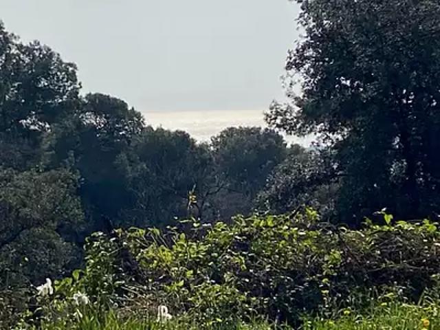 Terrain vente à Grasse, Cagnes-sur-mer