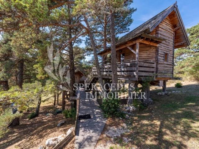 Maison vente à Grasse, Caille