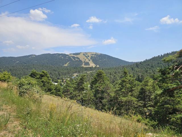 Terrain vente à Grasse, Caille