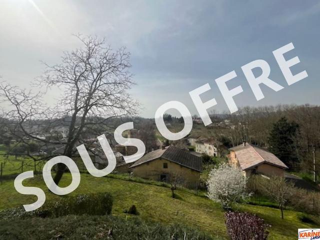 Maison vente à Lyon, Métropole de Lyon